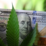 California County Mulls Reduction To Cannabis Cultivation Tax