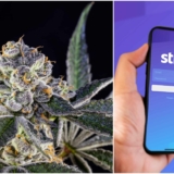 Stripe Says No to Funding Cannabis Journalism, Backs Down After a Fight