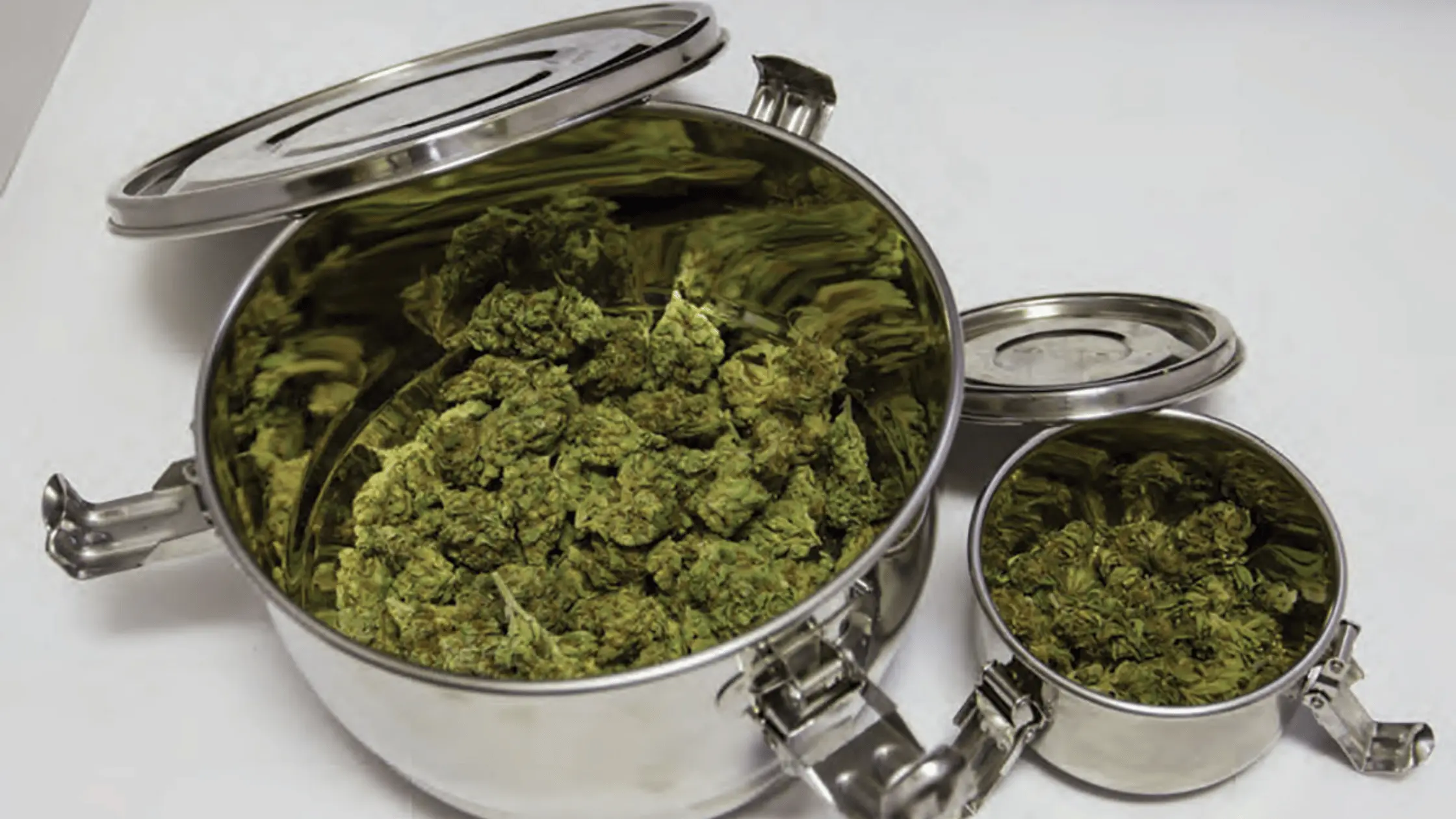 a pot full of green marijuana