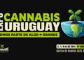uruguay cannabis cup