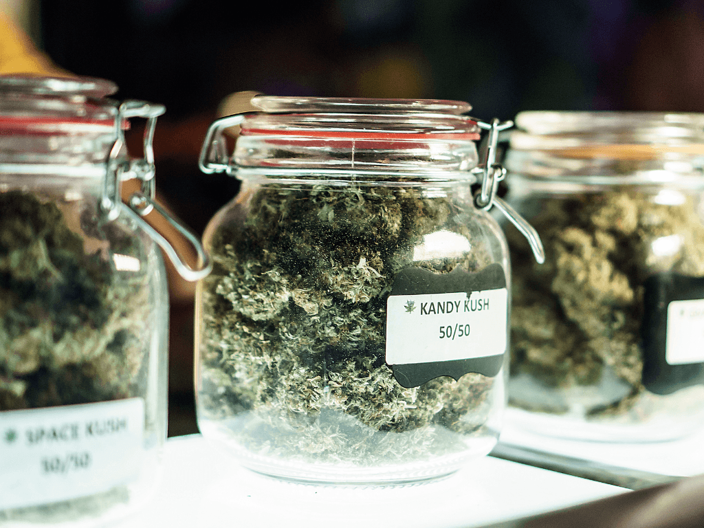 high thc