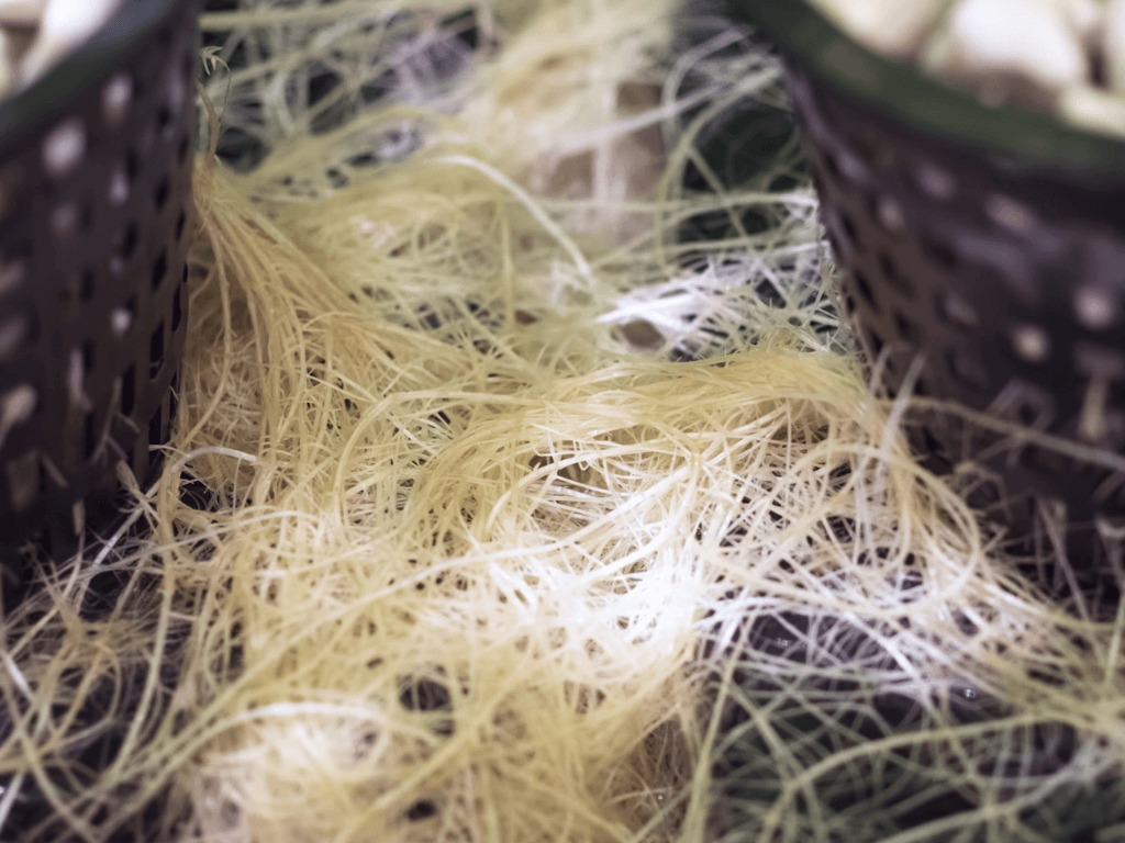 The Resurgence of Hemp Clothing: A Sustainable Fashion Revolution