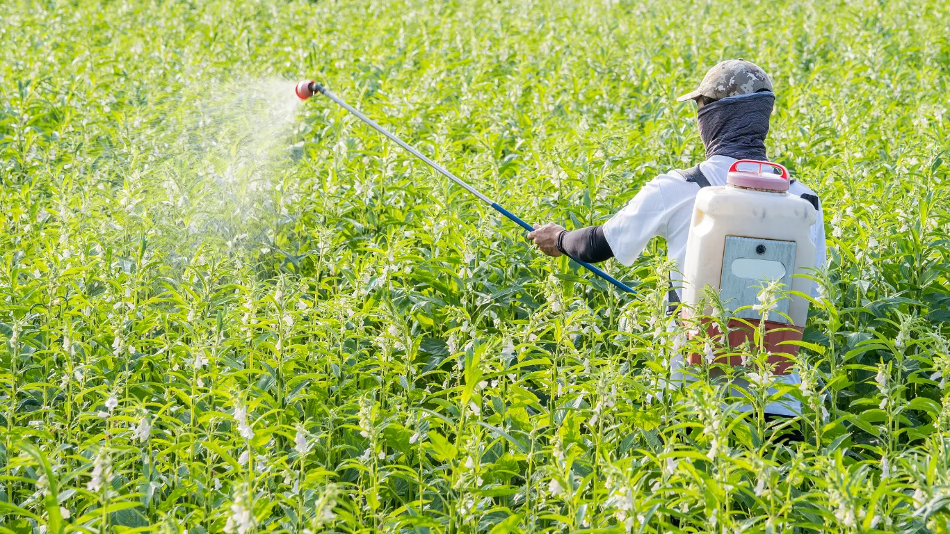 Understanding Cannabis Prices: A Comprehensive Guide 9 Understanding Cannabis Prices: A Comprehensive Guide