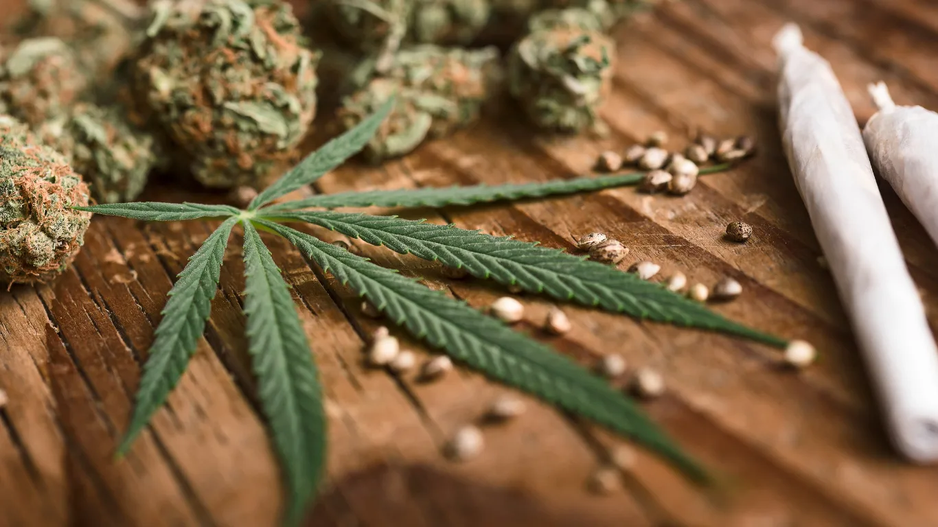 A Guide to the Evolution of Cannabis Strains 10 A Guide to the Evolution of Cannabis Strains