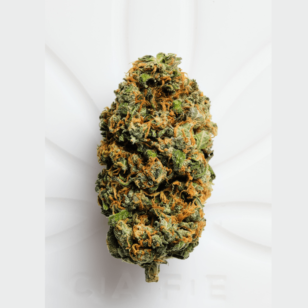 blue dream strain