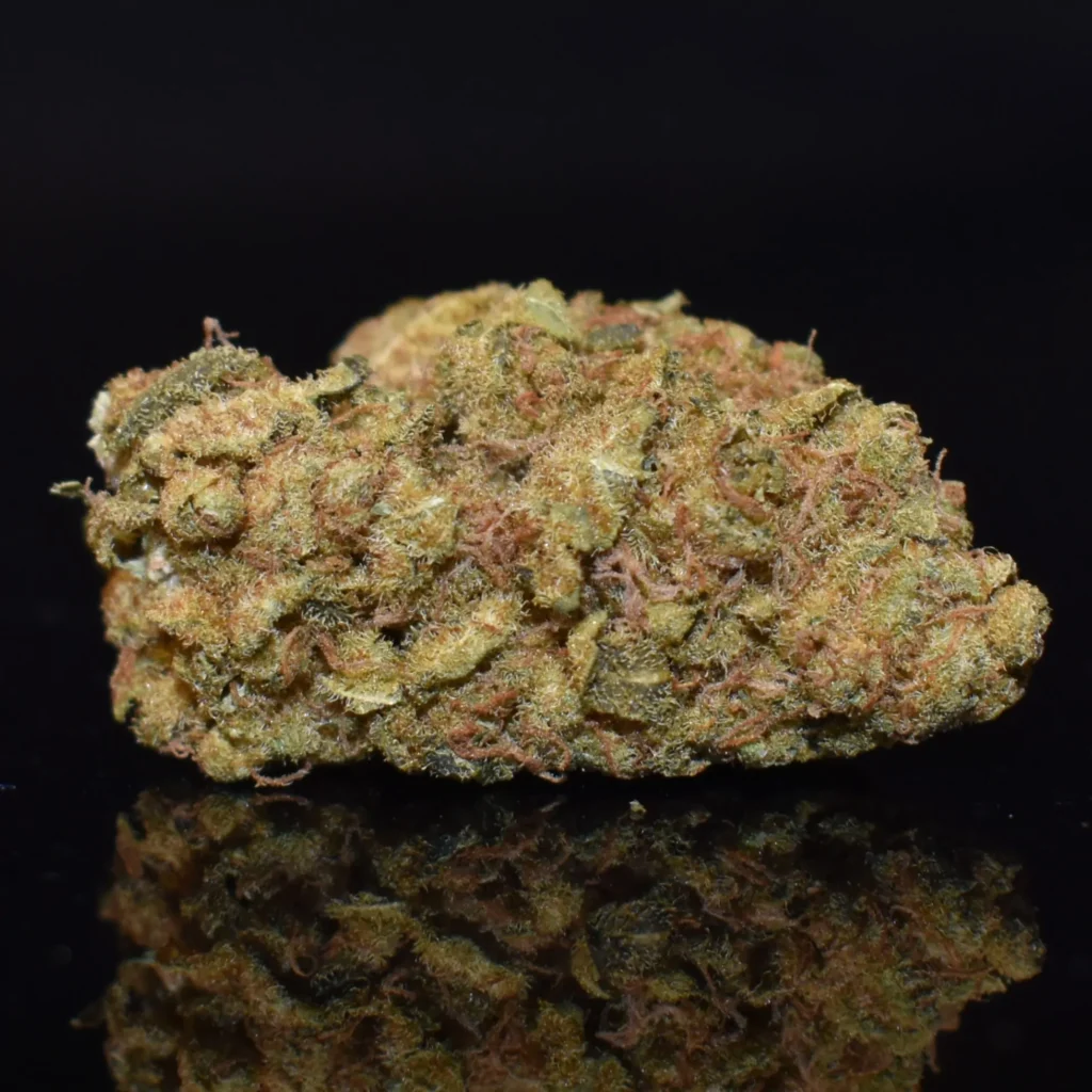 Pure Sativa Perfection Why Growers Love Durban Poison 3 durban poison