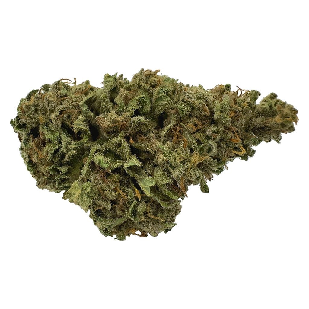 Strongest Feminized Cannabis Seeds to Grow in 2025 2 Strongest Feminized Cannabis Seeds to Grow in 2025