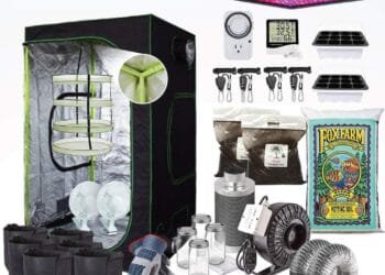 Complete Indoor Cannabis Grow Setup on a Budget