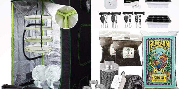 Complete Indoor Cannabis Grow Setup on a Budget 🌱💡 1 Complete Indoor Cannabis Grow Setup on a Budget