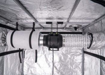 How to Control Humidity in a Grow Tent Easily 6 How to Control Humidity in a Grow Tent Easily