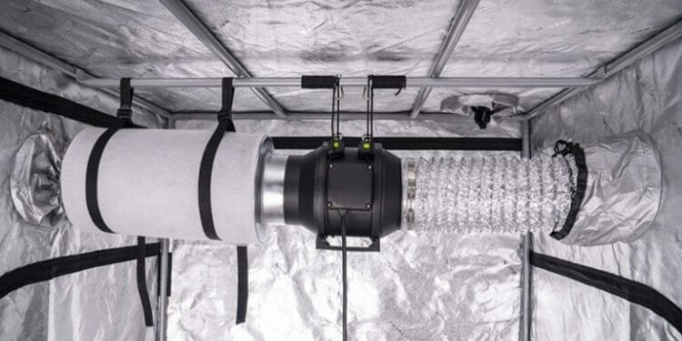 How to Control Humidity in a Grow Tent Easily 1 How to Control Humidity in a Grow Tent Easily