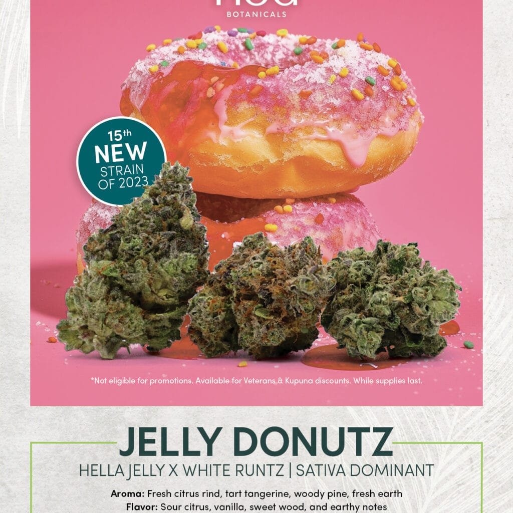 Strongest Feminized Cannabis Seeds to Grow in 2025