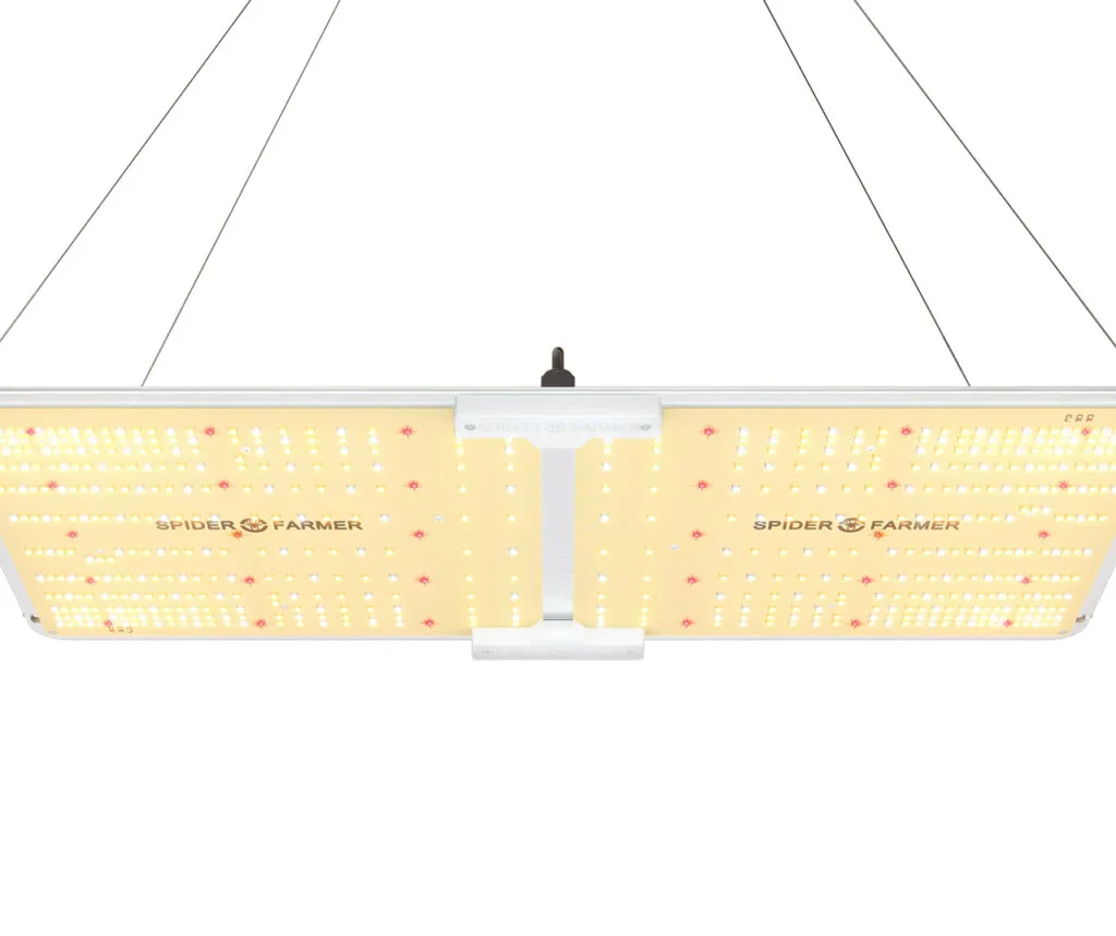Best Grow Lights for Autoflower Cannabis in 2025 – Top Picks + Buyer’s Guide