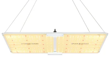 Best Grow Lights for Autoflower Cannabis in 2025 – Top Picks + Buyer’s Guide 8 Best Grow Lights for Autoflower Cannabis in 2025 – Top Picks + Buyer’s Guide