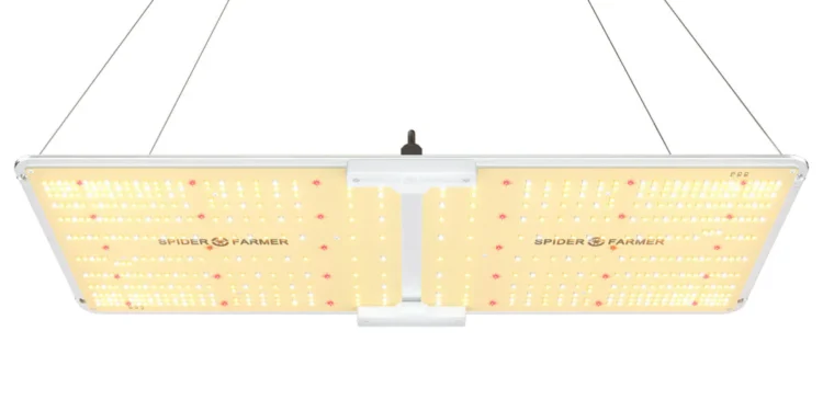 Best Grow Lights for Autoflower Cannabis in 2025 – Top Picks + Buyer’s Guide 1 Best Grow Lights for Autoflower Cannabis in 2025 – Top Picks + Buyer’s Guide