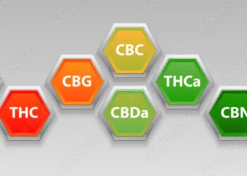 CBD, THC, THCA, and CBN: Key Differences Explained 9 CBD, THC, THCA, and CBN: Key Differences Explained