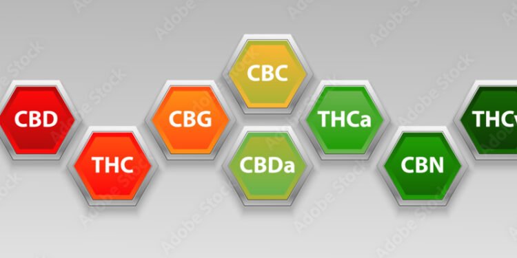 CBD, THC, THCA, and CBN: Key Differences Explained 1 CBD, THC, THCA, and CBN: Key Differences Explained