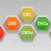 CBD, THC, THCA, and CBN: Key Differences Explained