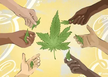 Social Equity Cannabis Programs will achieve full social equity in 2025