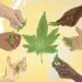 Social Equity Cannabis Programs will achieve full social equity in 2025