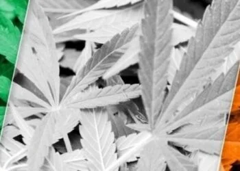 Cannabis Decriminalisation in Ireland 7 Cannabis Decriminalisation in Ireland