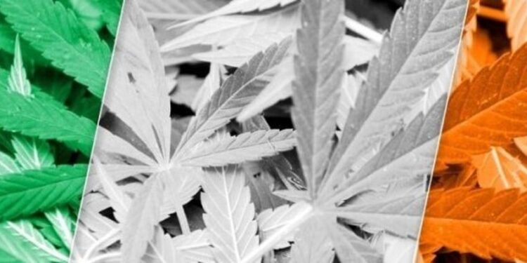 Cannabis Decriminalisation in Ireland