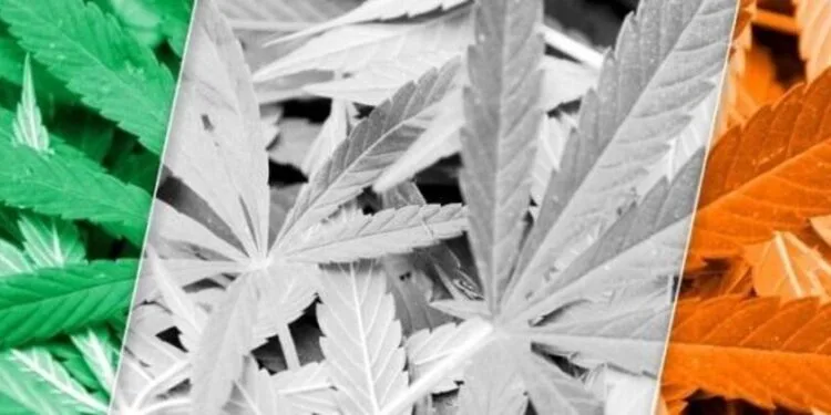 Cannabis Decriminalisation in Ireland 1 Cannabis Decriminalisation in Ireland