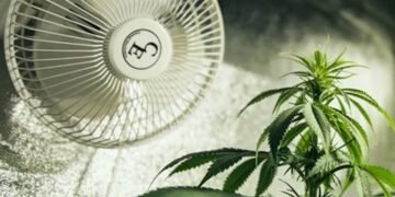 Grow Tent Ventilation