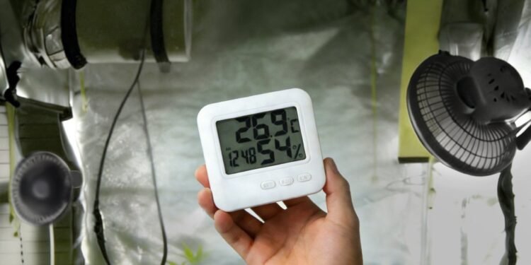 Beginner Guide to Growing Cannabis Indoors