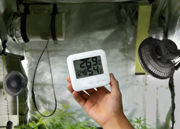 Beginner Guide to Growing Cannabis Indoors