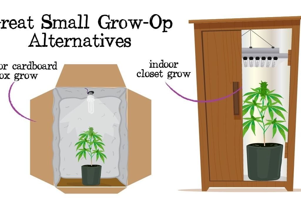 Set Up Your Grow Tent