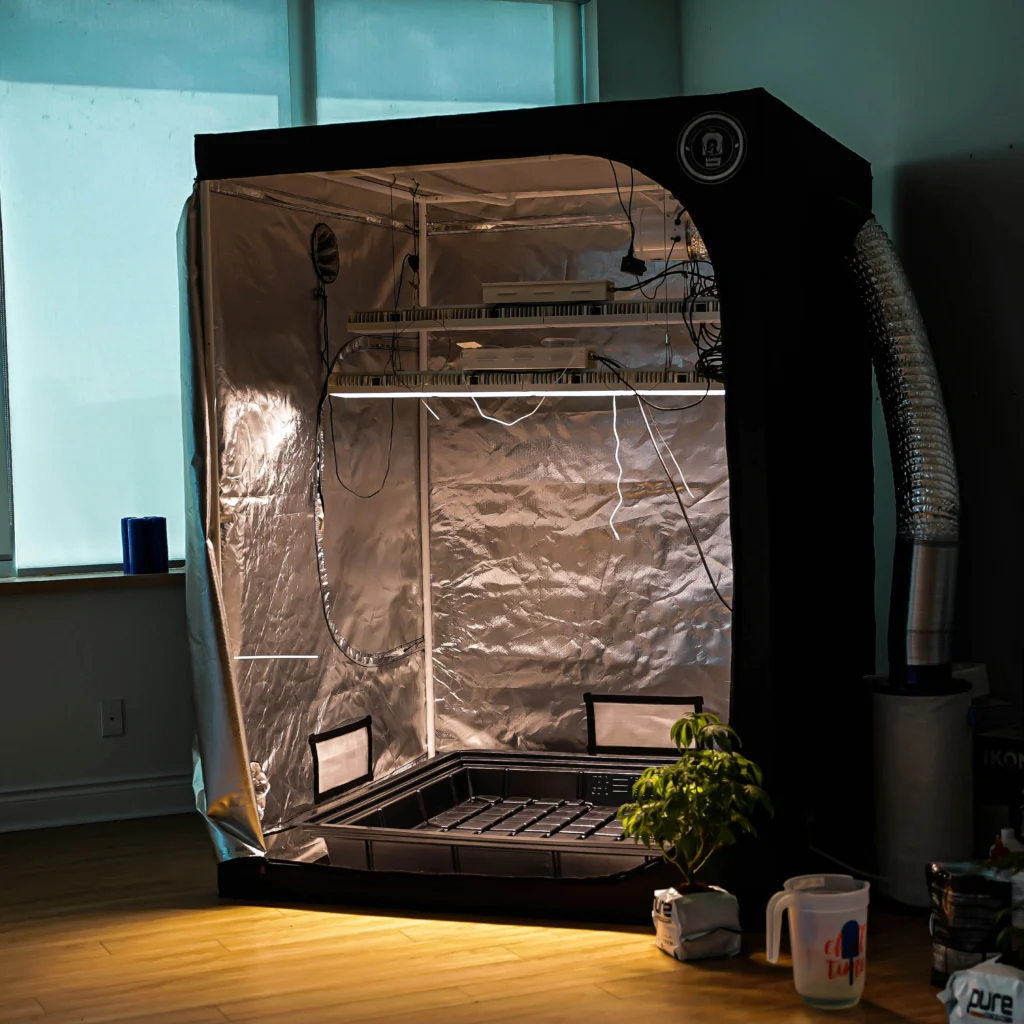 Why Airflow Is Essential for Indoor Cannabis 2 grow tent ventilation setup