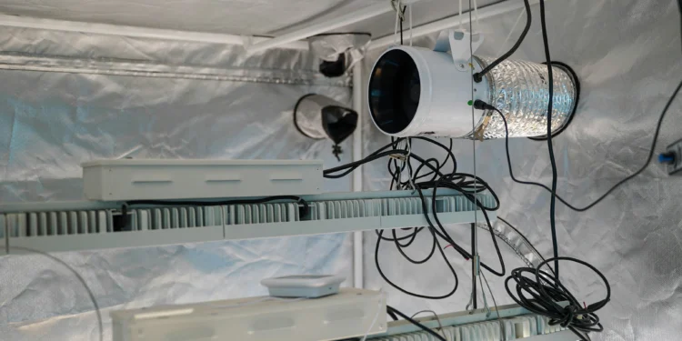 Why Airflow Is Essential for Indoor Cannabis 1 grow tent ventilation setup