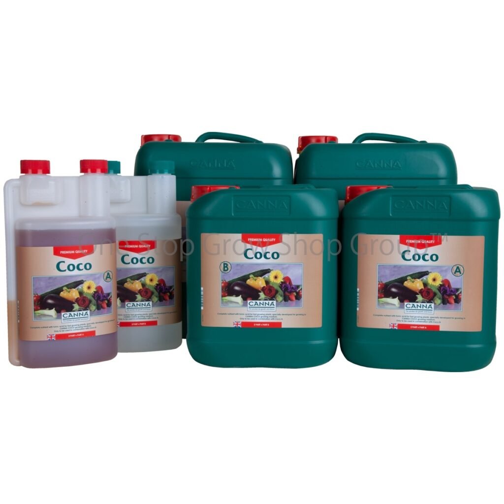 watering cannabis plants growing in coco substrate
