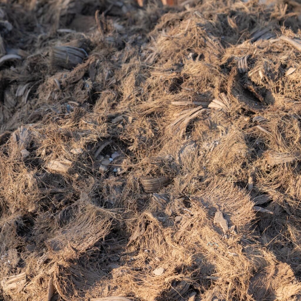 coco coir growing medium used for cannabis cultivation
