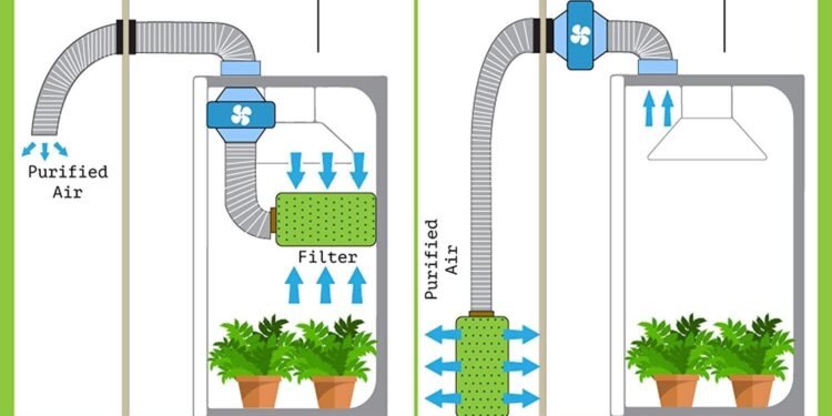 airflow and ventilation system inside cannabis grow tent