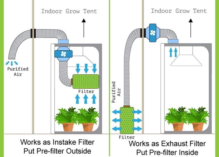 airflow and ventilation system inside cannabis grow tent