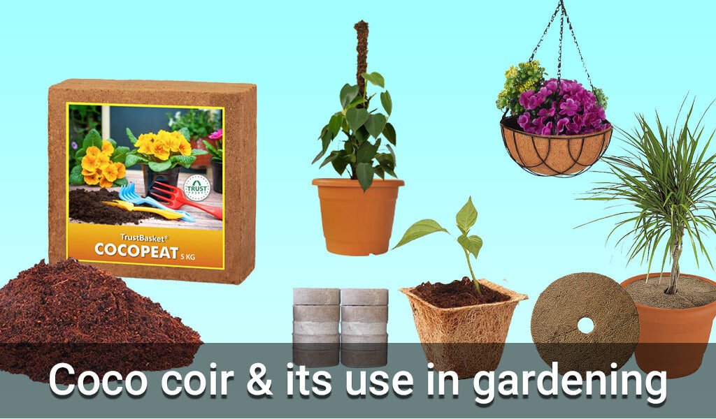 coco coir growing medium used for cannabis cultivation
