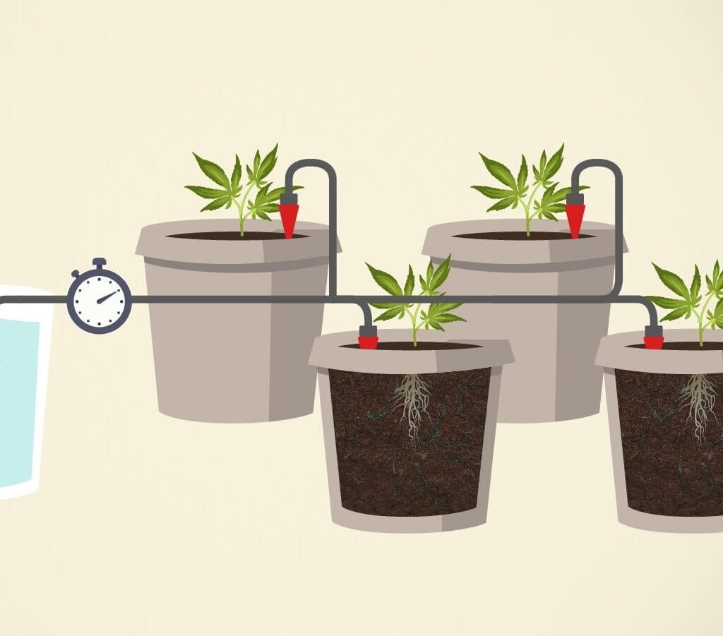  Water Slowly and Evenly