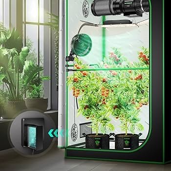 airflow and ventilation system inside cannabis grow tent
