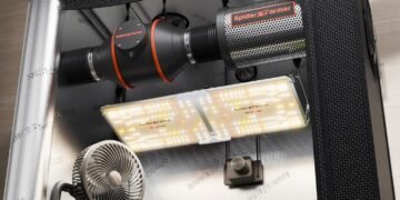 Best Grow Lights for Cannabis