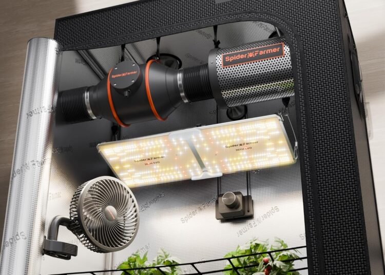 Best Grow Lights for Cannabis