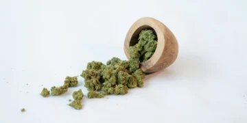 coco coir growing medium close-up