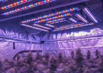 Install the Grow Ligh