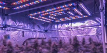 Install the Grow Ligh