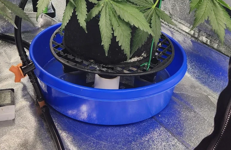  Water Slowly and Evenly