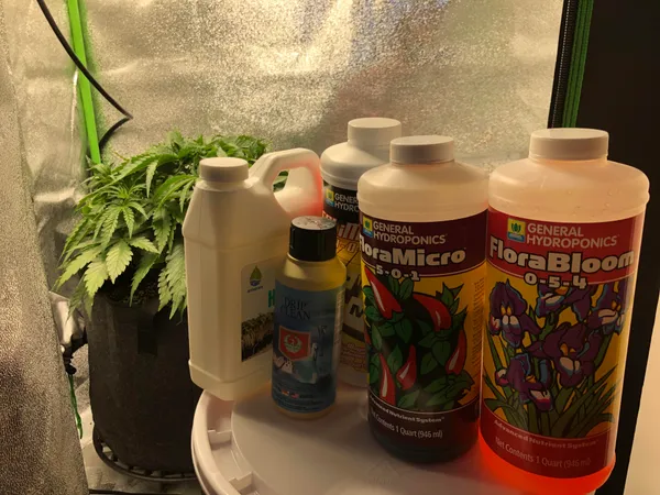coco nutrients for cannabis feeding solution setup