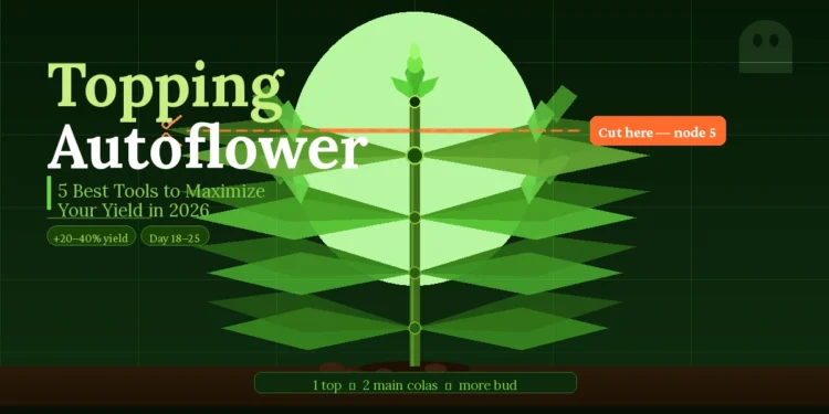 Topping Autoflower: 5 Best Tools to Maximize Your Yield