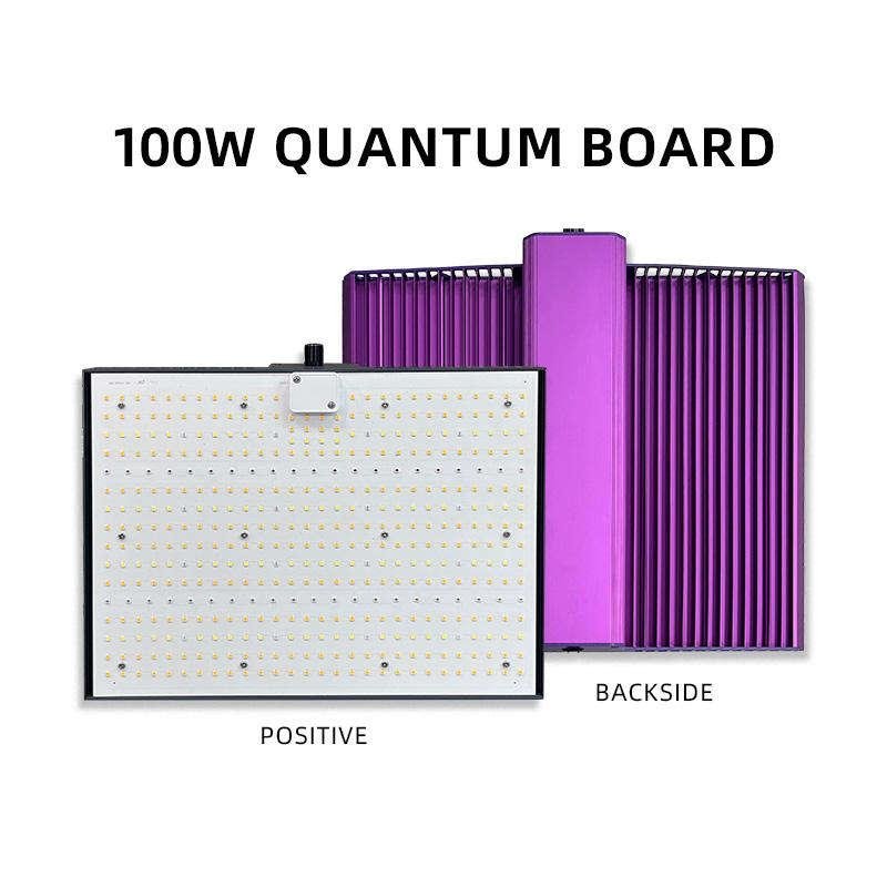Best LED Grow Lights for Autoflower 5 Top Picks in 2026 3 7a77f0f6bb8bf23e7656f89408d86ec472747c00db412baa4323e314a4f80276