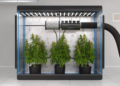 Spider Farmer Mars Hydro grow tent comparison 2026